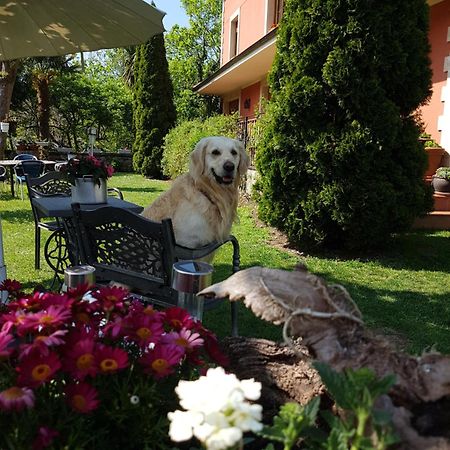 Hotel Rural El Torrejon Arenas De Cabrales Eksteriør billede