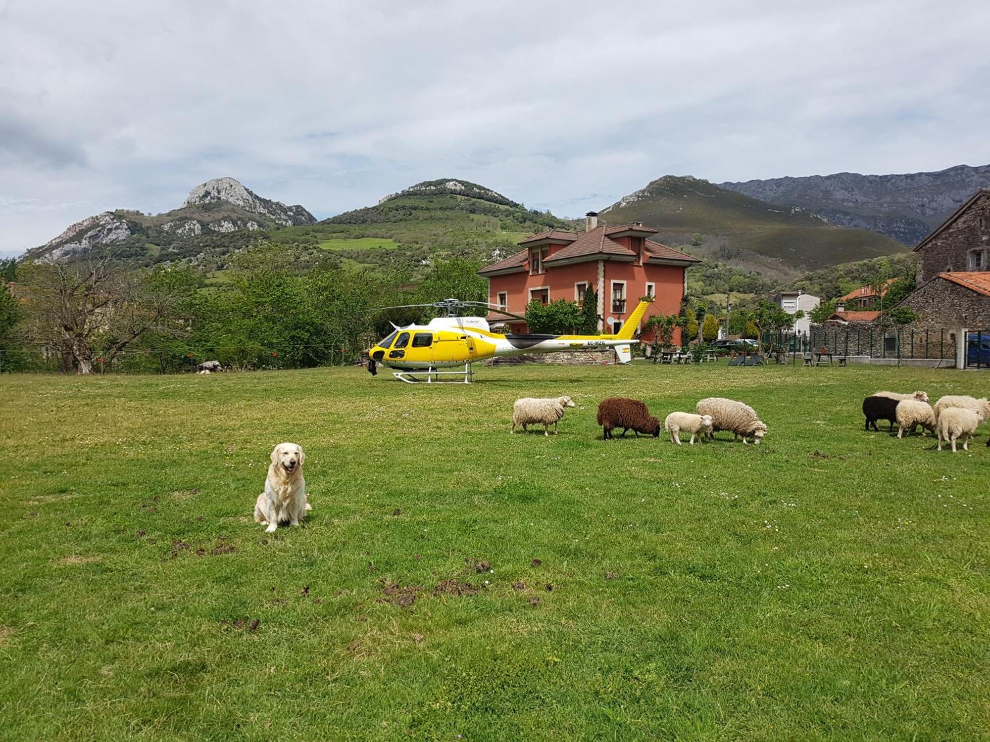 Hotel Rural El Torrejon Arenas De Cabrales Eksteriør billede
