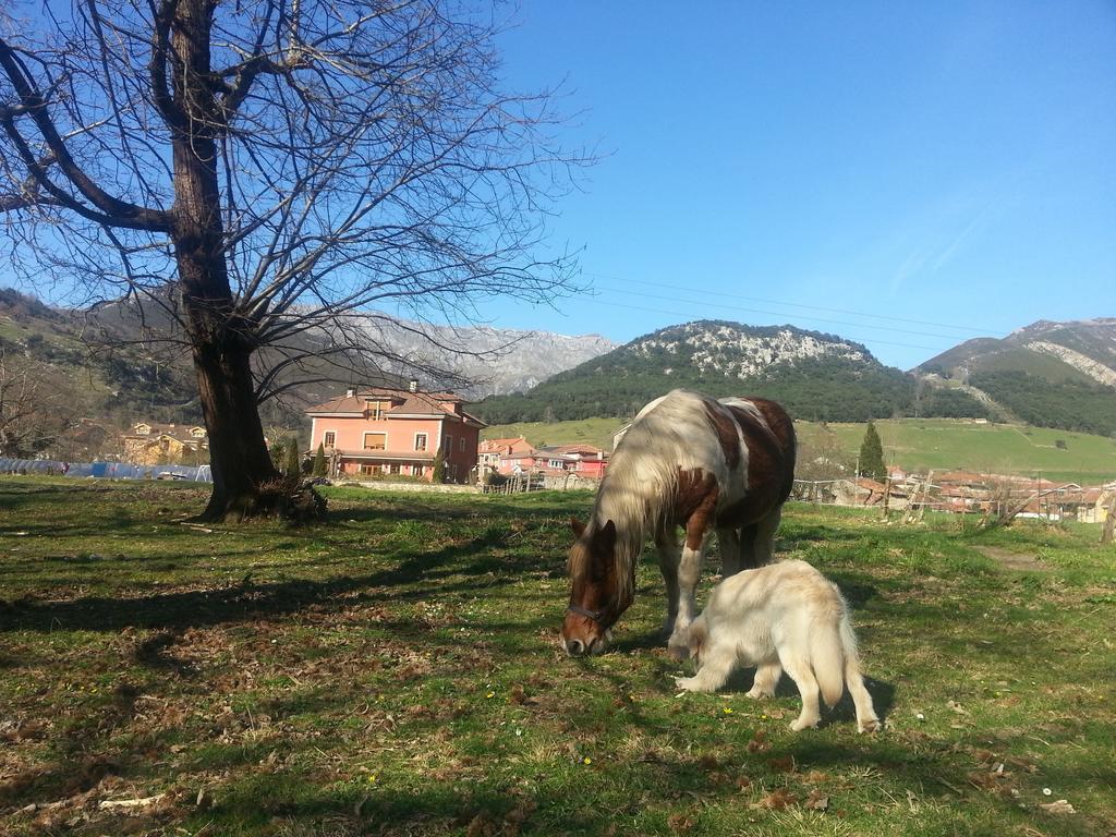 Hotel Rural El Torrejon Arenas De Cabrales Eksteriør billede